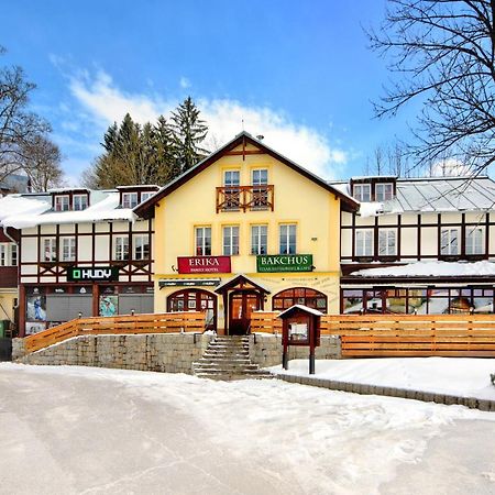 Hotel Erika Špindlerŭv Mlýn 외부 사진