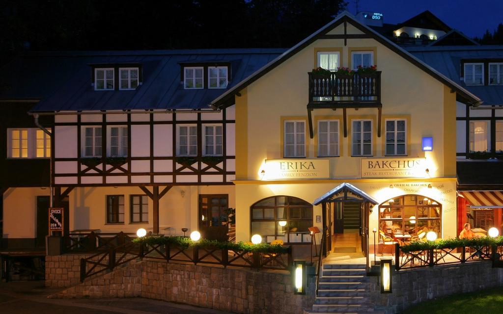 Hotel Erika Špindlerŭv Mlýn 외부 사진