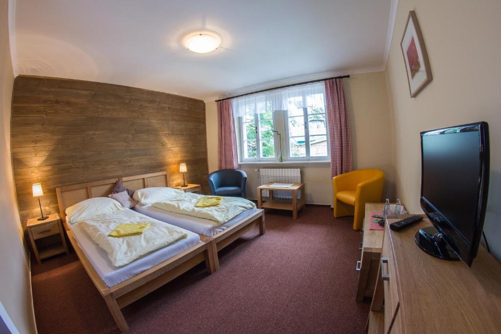 Hotel Erika Špindlerŭv Mlýn 객실 사진
