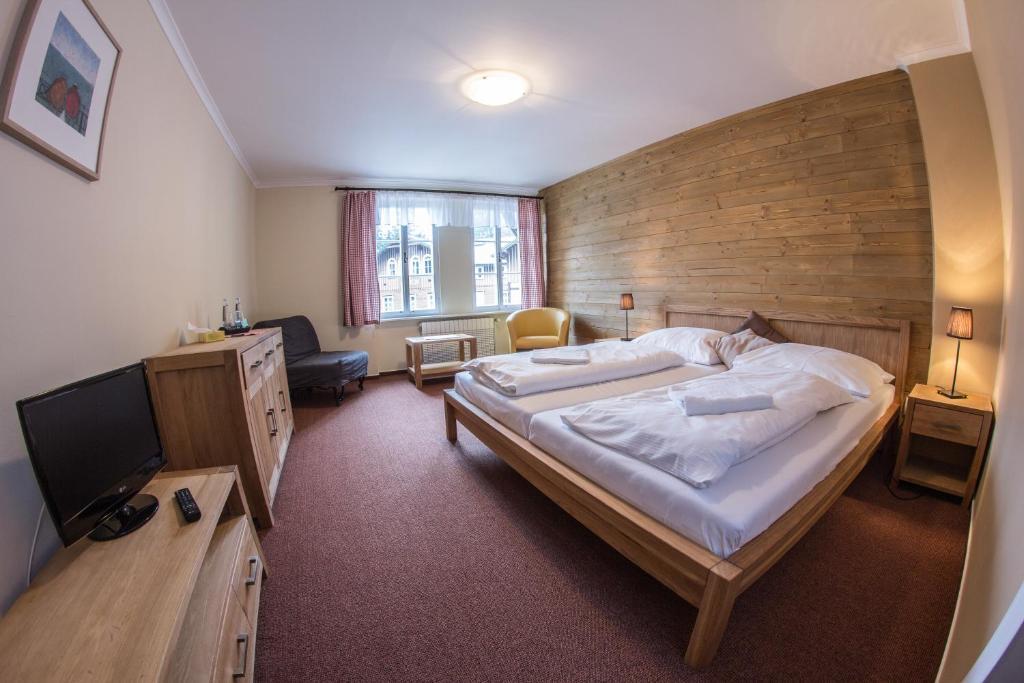 Hotel Erika Špindlerŭv Mlýn 객실 사진